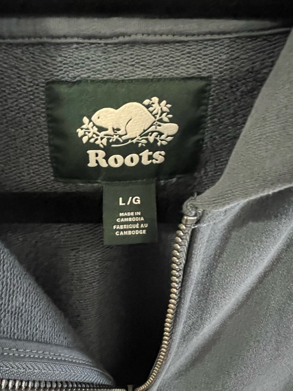 Roots Cropped Cloud Hoodie - Picture 4 of 5